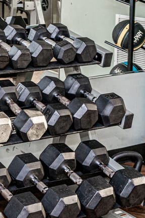a bunch of dumbbells in a gym