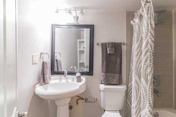 a bathroom with a sink and toilet and a mirror