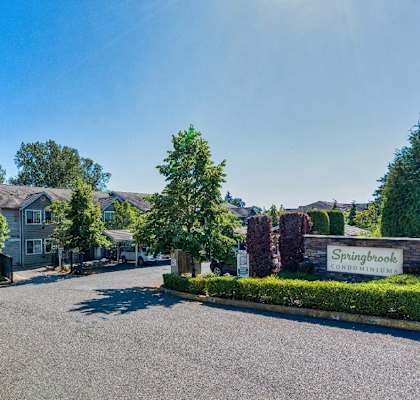 A sunny day at Springbrook with a clear blue sky.