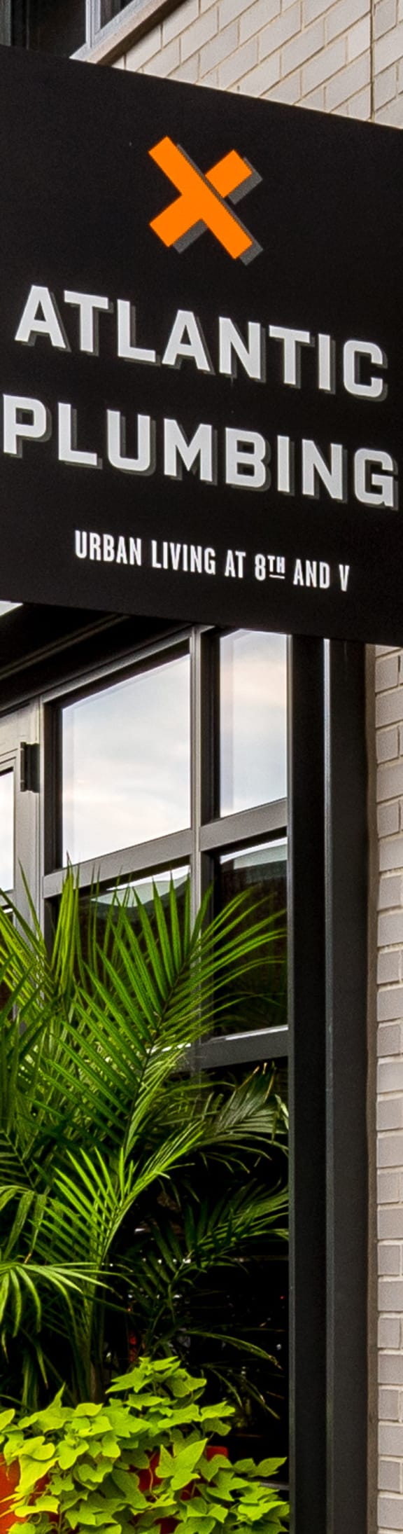 Shaw DC Apartments Atlantic Plumbing Floor Plans Apartments Near Me