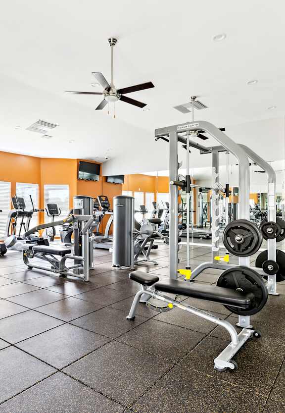 A person is lifting a dumbbell in a gym.