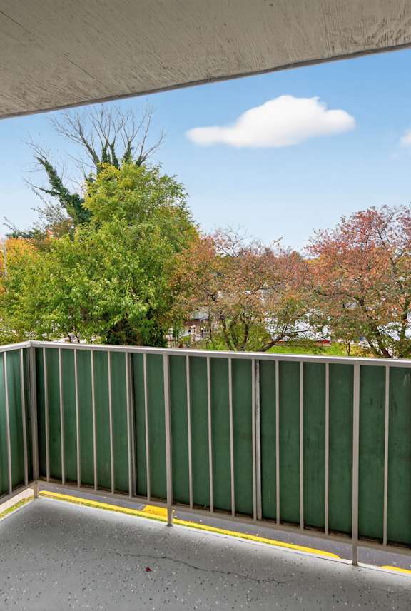 A view from a balcony looking out at a tree-lined street.