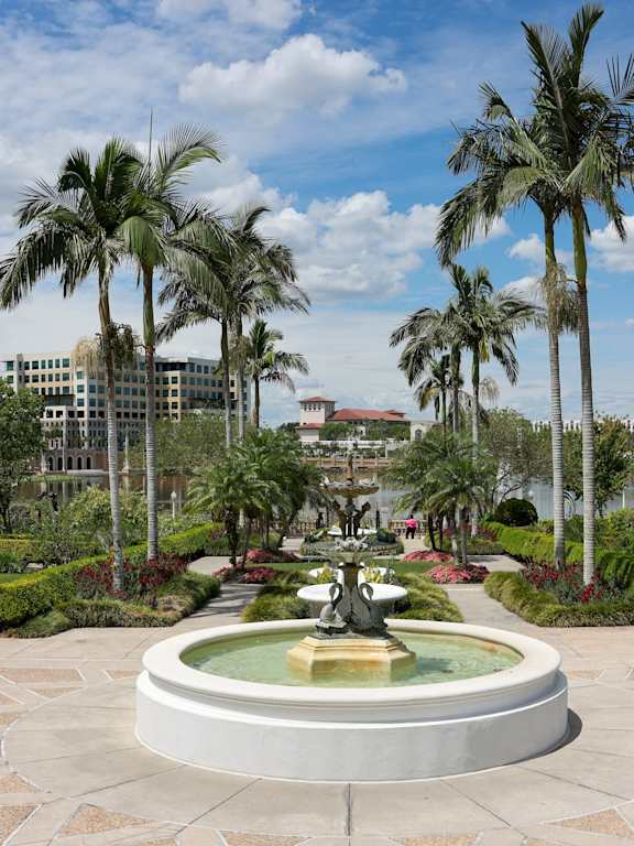 A fountain in the middle of a square surrounded by palm trees.