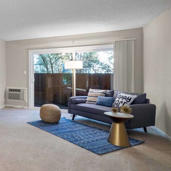 A living room with a grey couch and a blue rug.