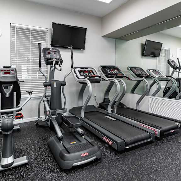 A gym with treadmills, elliptical machines, and a television.