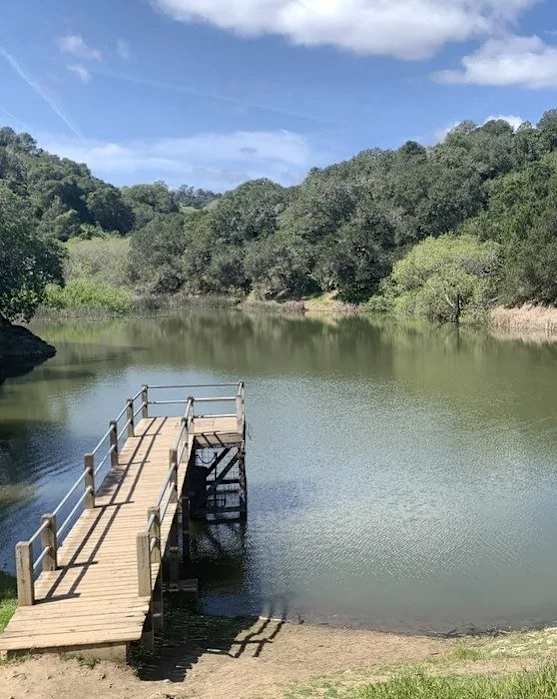 A wooden dock extends into a calm lake surrounded by lush greenery.