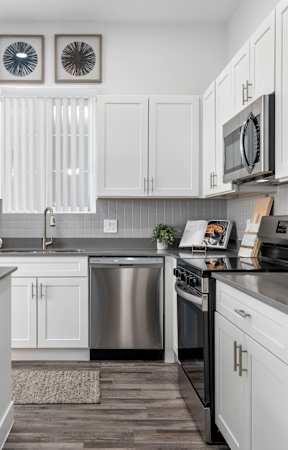 Modern Kitchen with Stainless Steel Appliances 