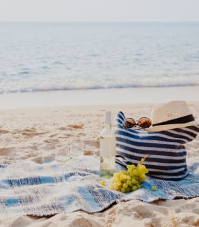 a picnic on the beach