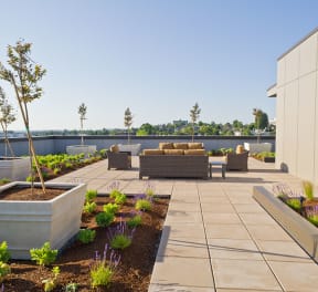 REO Flats Apartments Rooftop Courtyard and Seating