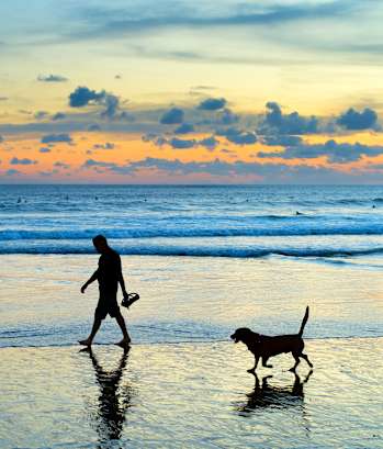 A person and a dog are walking on the beach at sunset.