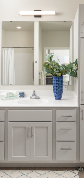 a bathroom with a sink and a toilet and a mirror