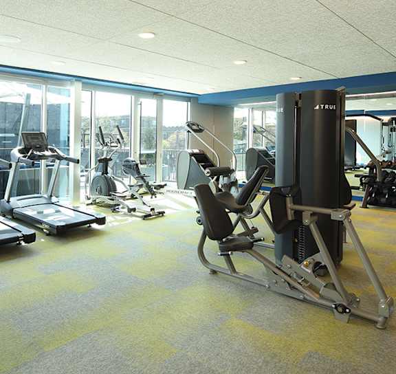 A gym with a variety of equipment including a treadmill, weights, and a bench press.