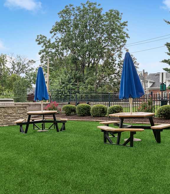 Picnic And BBQ Area at CWE Apartments, St. Louis, 63108