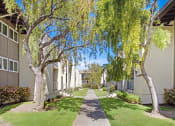 Thumbnail 8 of 17 - a sidewalk lined with trees in front of apartment buildings