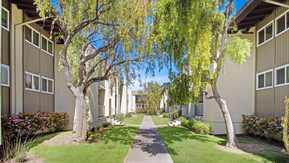 a sidewalk lined with trees in front of apartment buildings