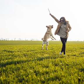 A man playing with a white dog in a park.