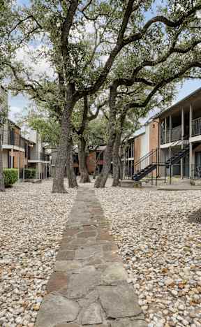 A pathway with a stone border leads between rows of trees and buildings.