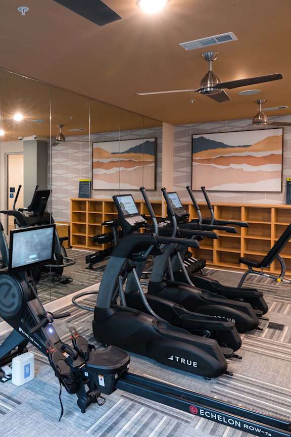 A spacious gym with treadmills, elliptical machines, and a television at Waterleaf at Neely Ferry Apartments, Simpsonville, SC 29680