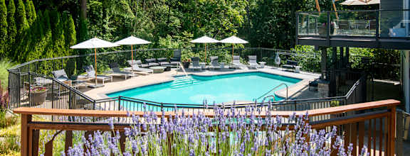 a swimming pool at a resort with trees at Lakemont Orchard, Issaquah, WA