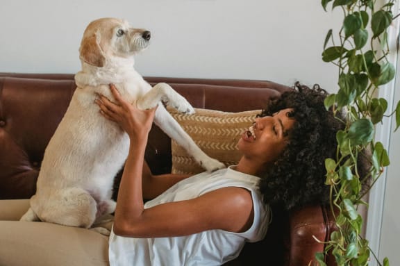 a woman is sitting on a couch with her dog