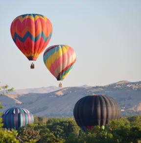 Hot Air Balloons on Clear Day