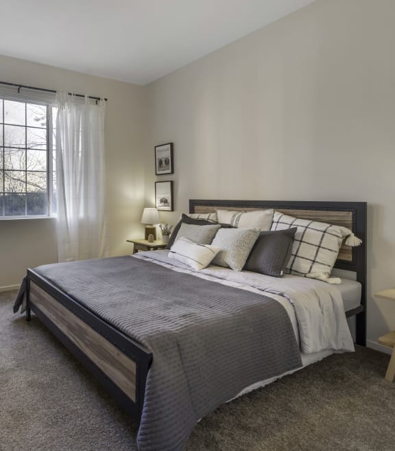 Primary Bedroom with Large Window