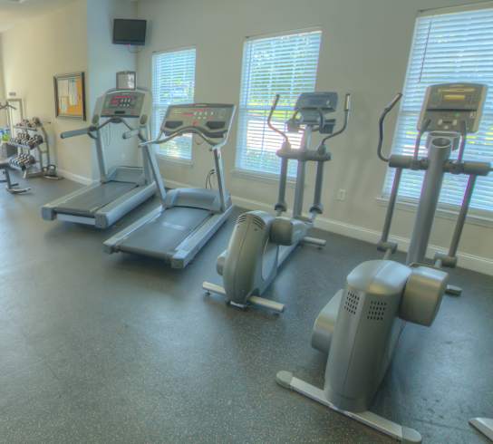 A gym with treadmills, elliptical machines, and other cardio equipment.