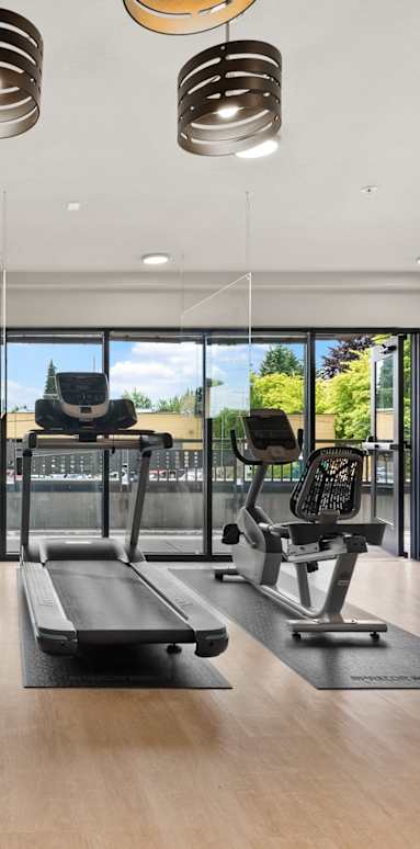A gym with treadmills, elliptical machines, and a bench.