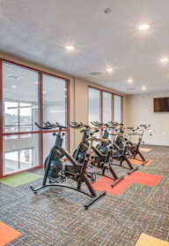 A gym with a row of exercise bikes.