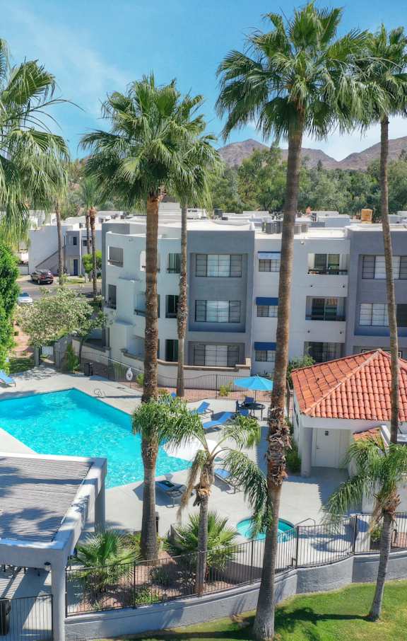 a view of the pool at Vaseo Apartments, Phoenix, AZ