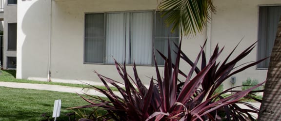 a view of the courtyard at the whispering winds apartments in pearland