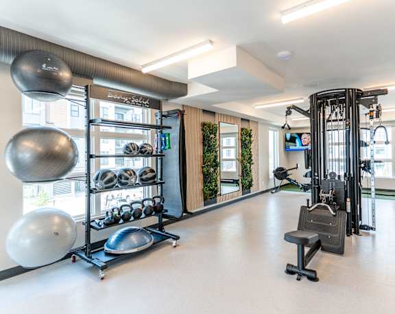 A man and a woman are working out on treadmills in a gym.
