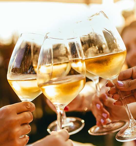 A group of people toasting with glasses of white wine.