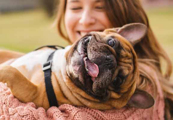 Woman Holding French Bulldog That Has Tongue Dangling Out of Mouth