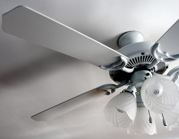 A ceiling fan with a light fixture is mounted on a white ceiling.