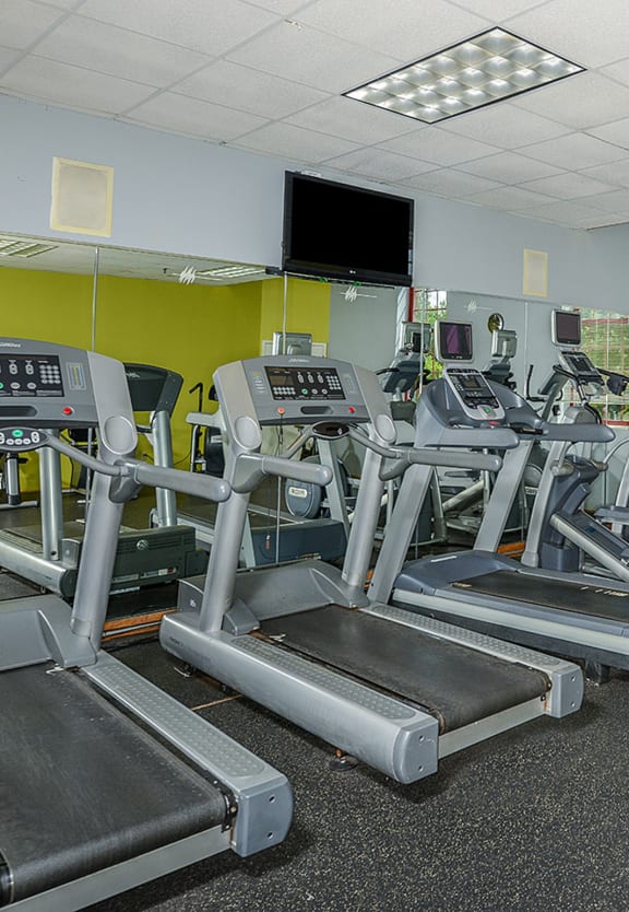 our gym is equipped with a variety of cardio equipment