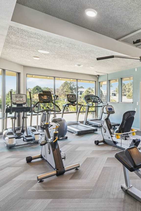 A gym with a variety of equipment including treadmills, exercise bikes, and weight machines.
