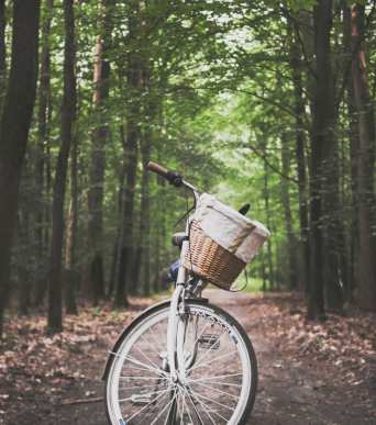 A bike parked outside a park, with greenery and walking paths in the background.