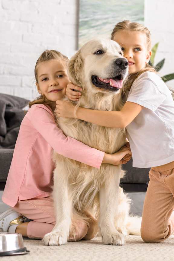 Two girls hugging a dog in a living room.