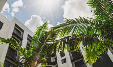 a picture of an apartment building with palm trees in the foreground