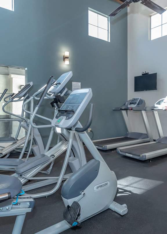 A gym with treadmills, exercise bikes, and elliptical machines.