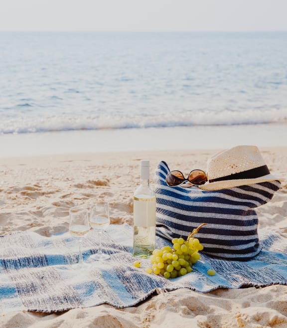 a picnic on the beach at Lakes at Suntree, Melbourne, FL