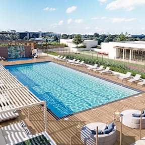 A large swimming pool surrounded by lounge chairs and palm trees.at Garden at 3Roots, California, 92126