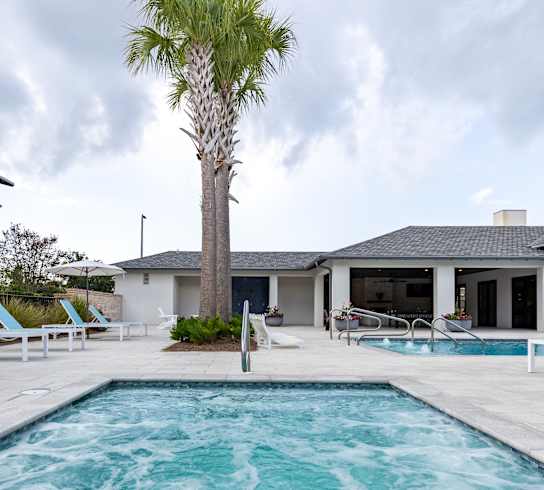A pool surrounded by lounge chairs and a palm tree.