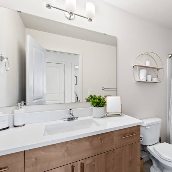 A white bathroom with a toilet, sink, and shower.