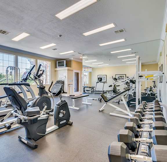 A gym with a row of treadmills and elliptical machines.