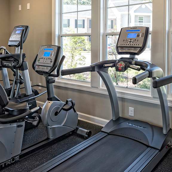 A row of treadmills in a gym with windows in the background.