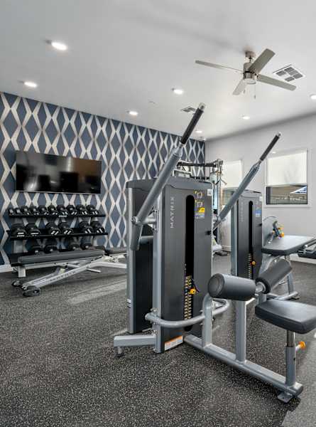 Fitness Center Equipment and Free Weights 