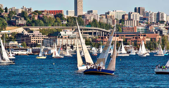 Seattle city views