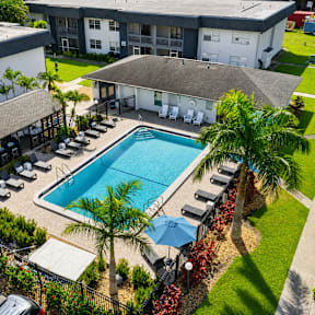 A pool surrounded by palm trees and lounge chairs.